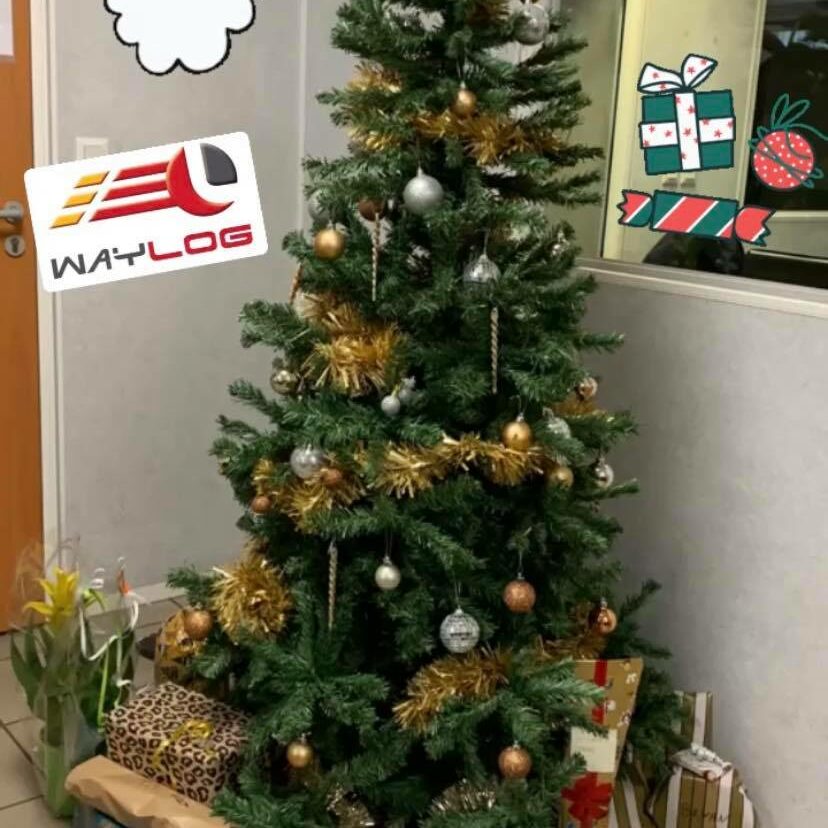 Toute l'équipe vous souhaite de bonnes fêtes.